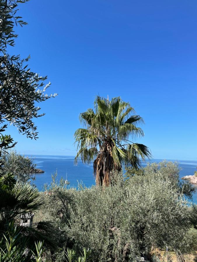 Sea View Apartment Ilha Ilha Sveti Stefan Exterior foto